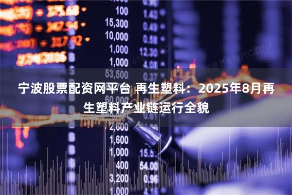 宁波股票配资网平台 再生塑料：2025年8月再生塑料产业链运行全貌