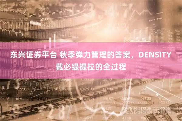 东兴证券平台 秋季弹力管理的答案，DENSITY戴必缇提拉的全过程