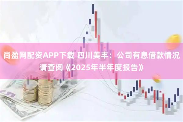 尚盈网配资APP下载 四川美丰：公司有息借款情况请查阅《2025年半年度报告》