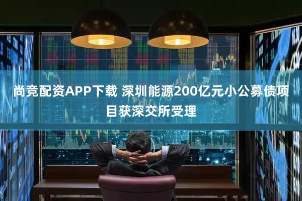 尚竞配资APP下载 深圳能源200亿元小公募债项目获深交所受理